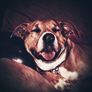 Meet your Posher, Jesse